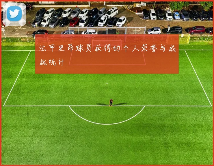 法甲里昂球员获得的个人荣誉与成就统计