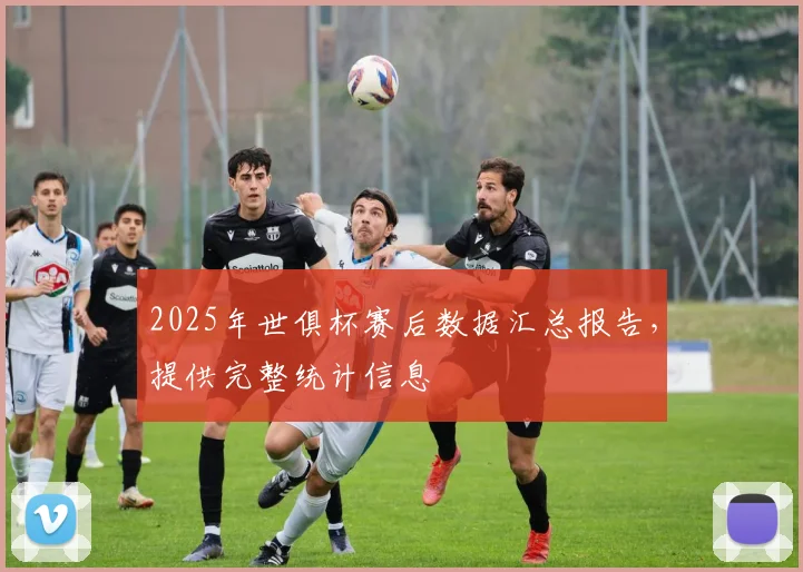 2025年世俱杯赛后数据汇总报告,提供完整统计信息