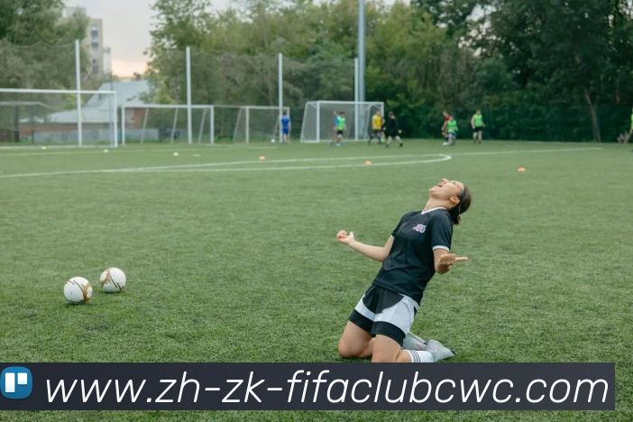 世界杯平台平台生态图