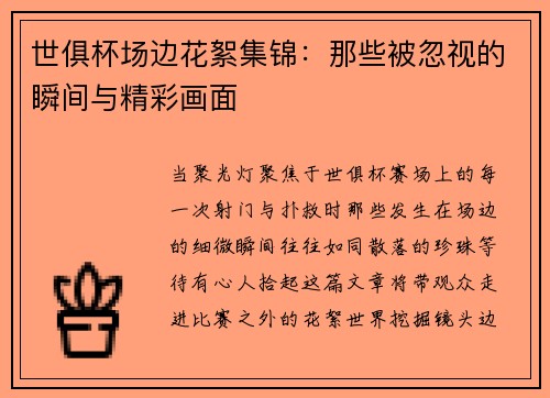 世俱杯场边花絮集锦：那些被忽视的瞬间与精彩画面